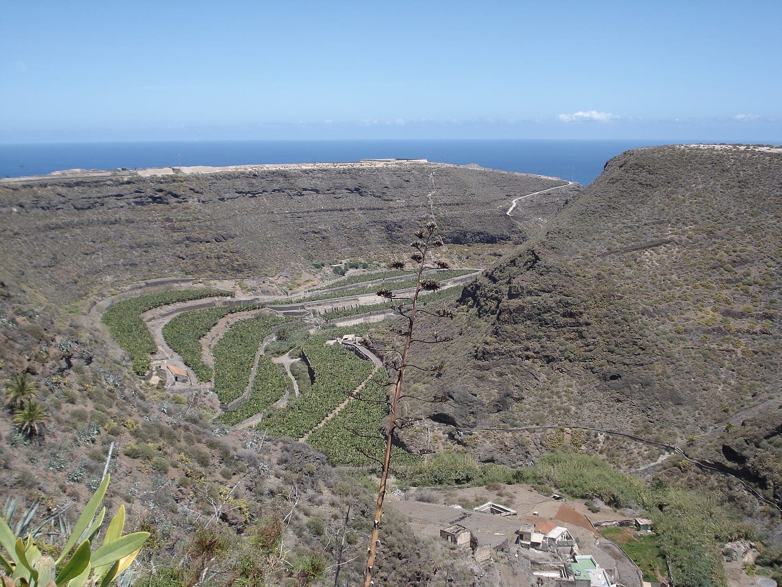 Barranco verde y exuberante en el norte de Gran Canaria